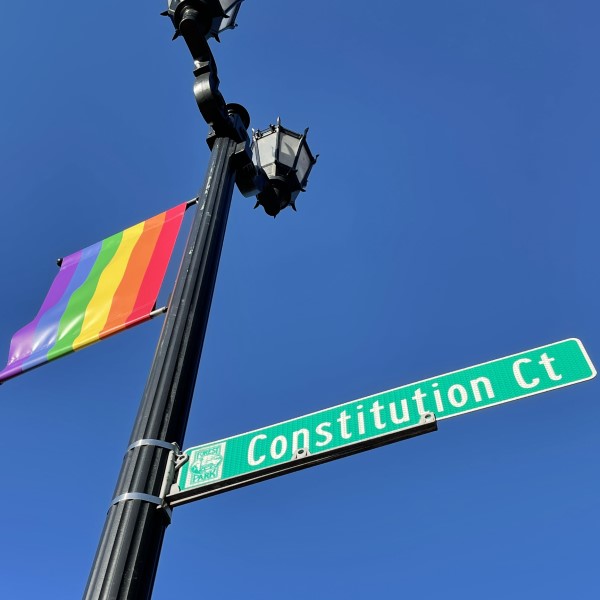 const-court-pride-flag pride