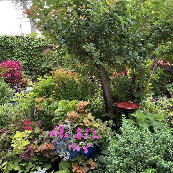 garden-walk garden walk